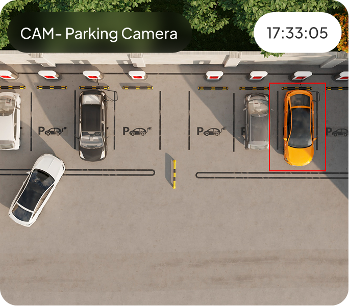 Screenshot of Surnexo multi-camera interface view